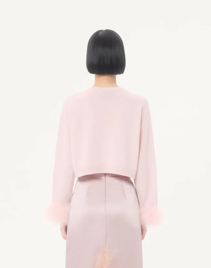 Kaschmirpullover mit Federn Kaschmirpullover mit Federn